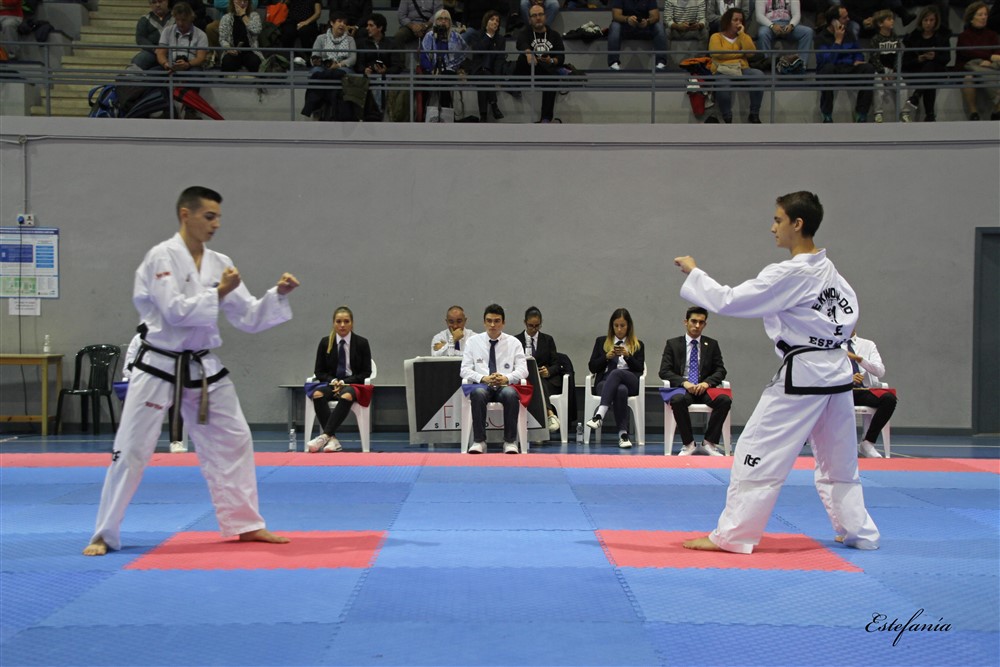 Copa Seul 2018 (364).jpg